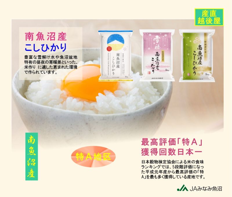 食品 令和5年産 魚沼産コシヒカリ玄米20kg
