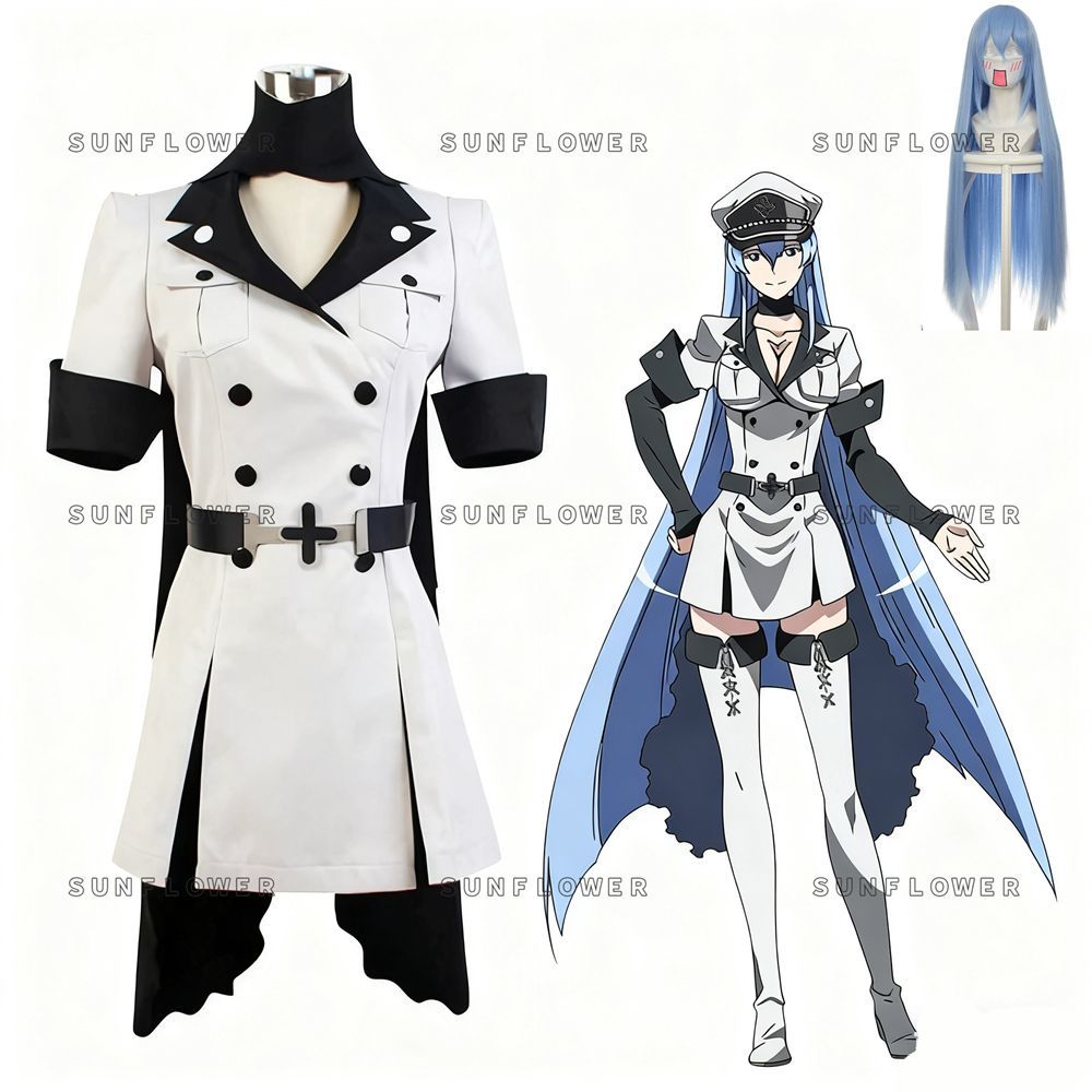 エスデス アカメが斬る! コスプレ 衣装 ウィッグ コスチューム 帽子付き cosplay 人気アニメ コスプレ クリスマス ハロウィン イベント パーティー 文化祭 学園祭 ステージ服 遊園会 忘年会 撮影 遊園会 誕生日 プレゼント なりきり