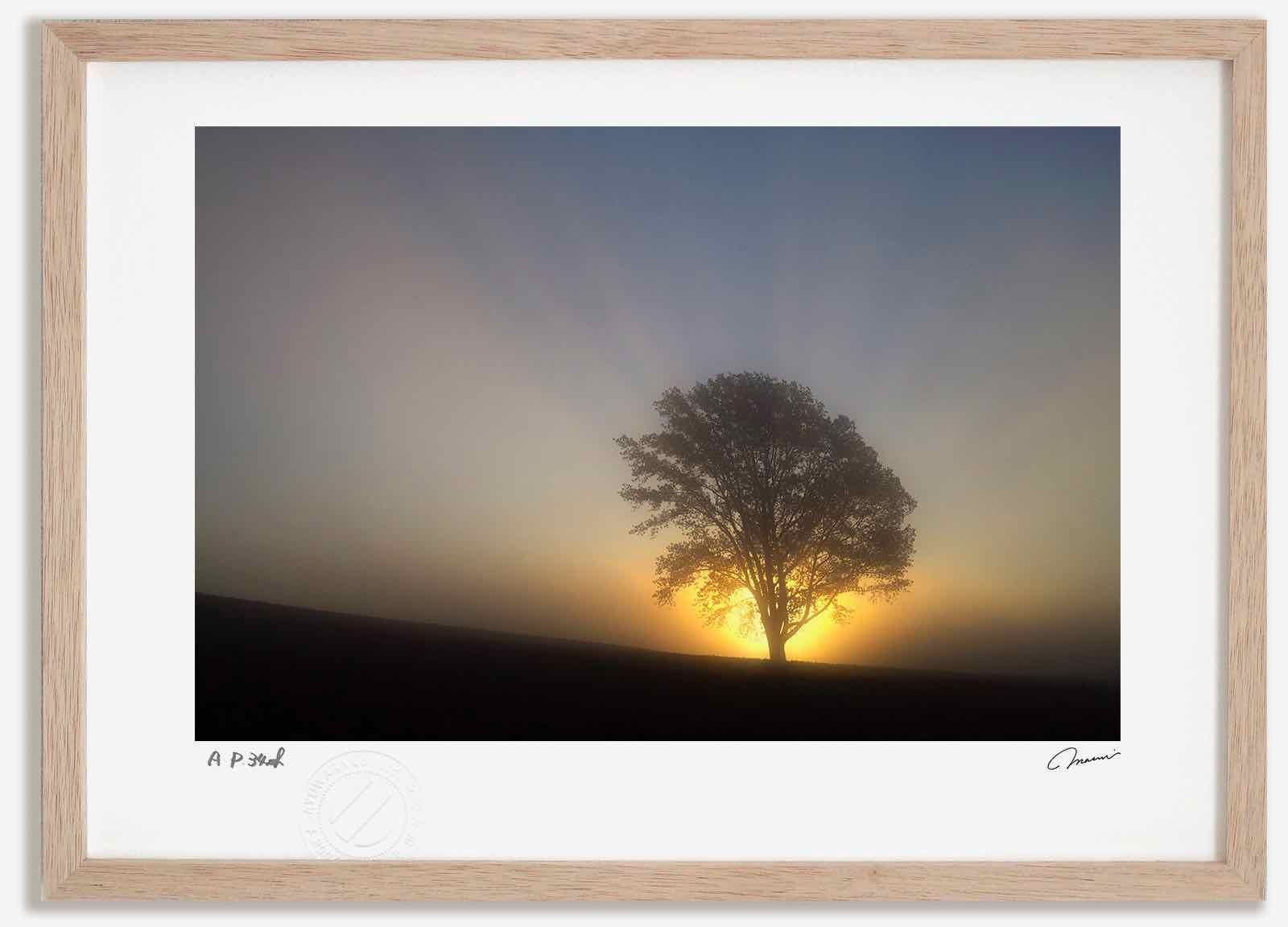 ☆大谷一良 木版画「雲と草原」鉛筆サイン入り・限定50部 2025