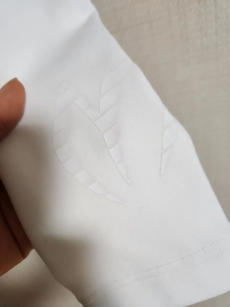 マスターバニーエディション