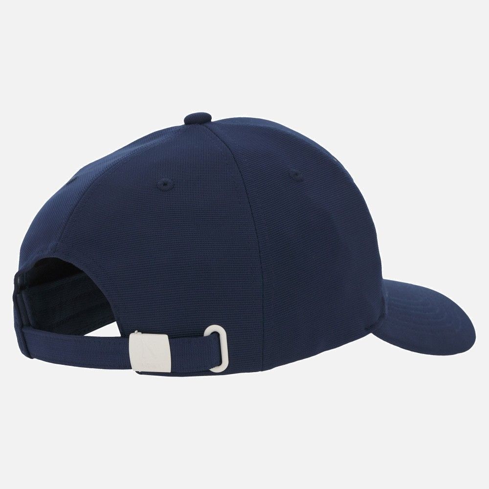 日本未発売