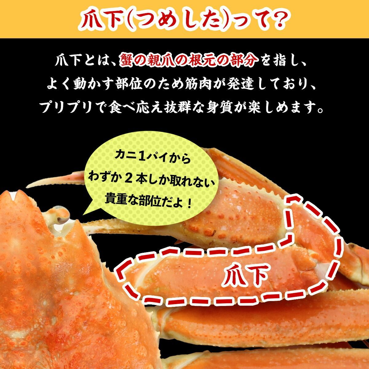 カニ