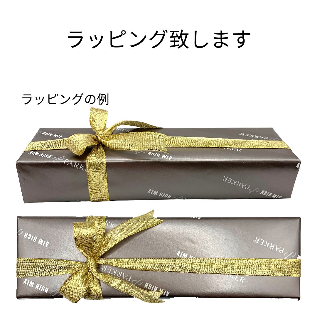 アウロラ イプシロン ボルドー 万年筆 細字 - メルカリ