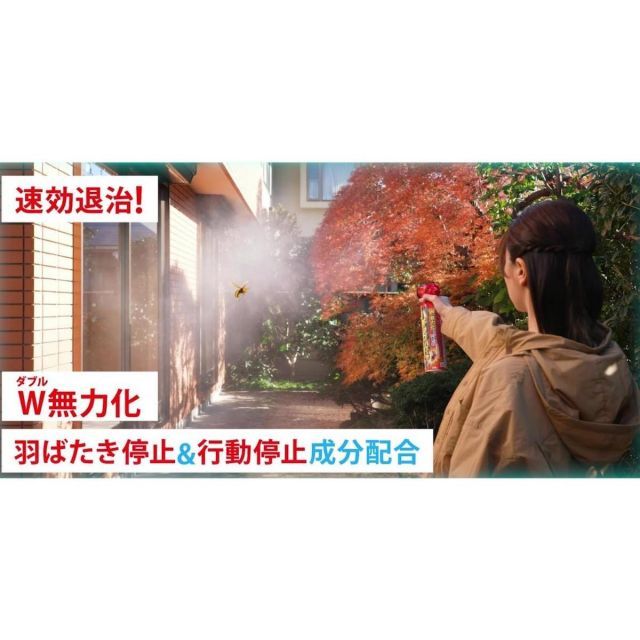 800ml×10個セット