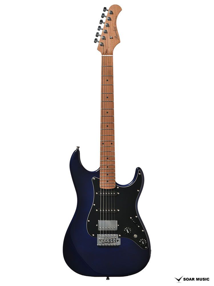Bacchus GS-2DX RSM/M IPM ギター初心者セット Bacchus GS-2DX RSM/M エレキギター初心者14点セット