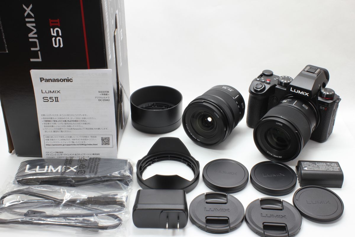 ショット数116回 上品 パナソニック Panasonic LUMIX S5Ⅱ DC-S5M2W | S 50mm f1.8 | S 20-60mm f3.5-5.6 動作 済 バッテリー 充電器 元箱