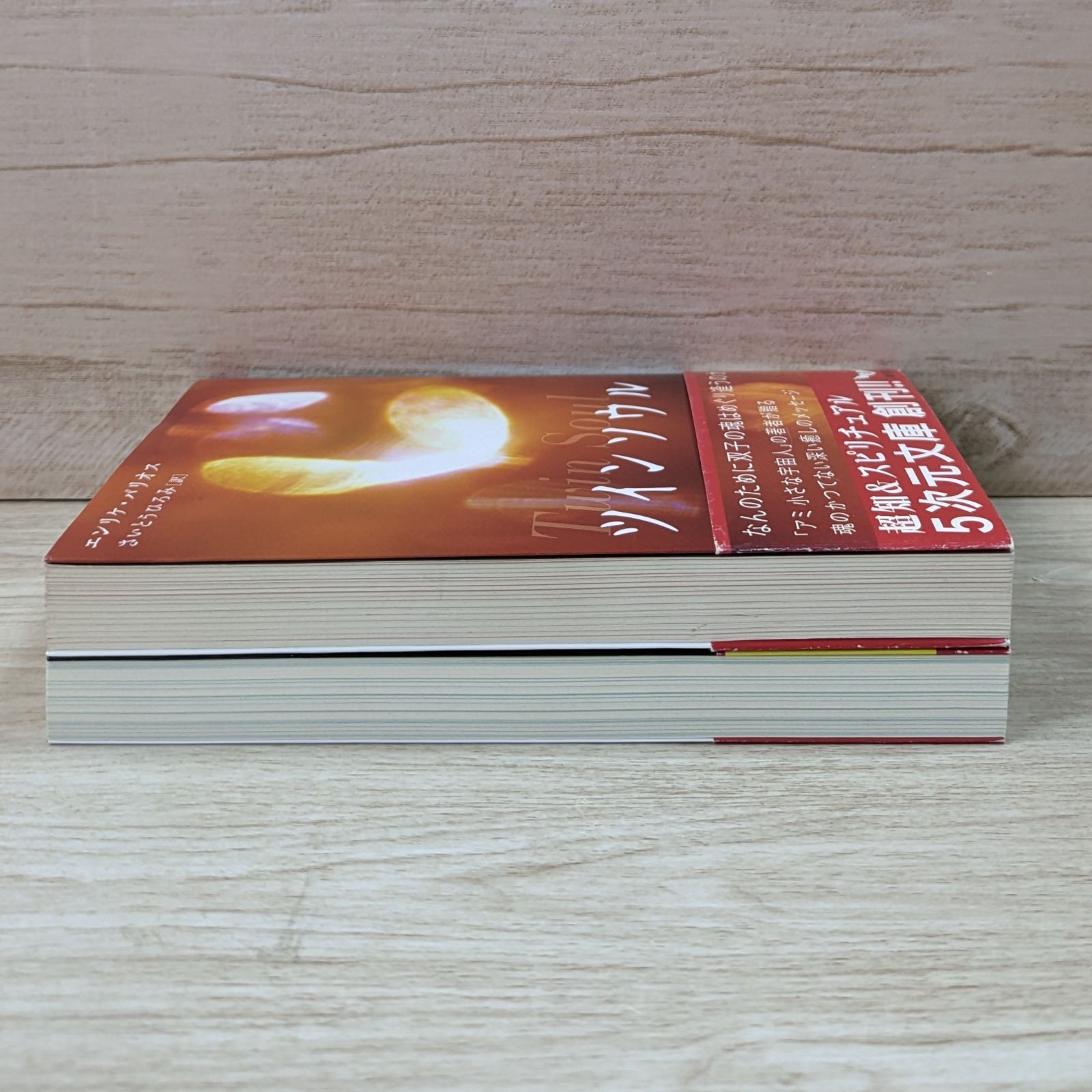 ツインソウル & 地球アップリフト（2冊セット）/ エンリケ・バリオス