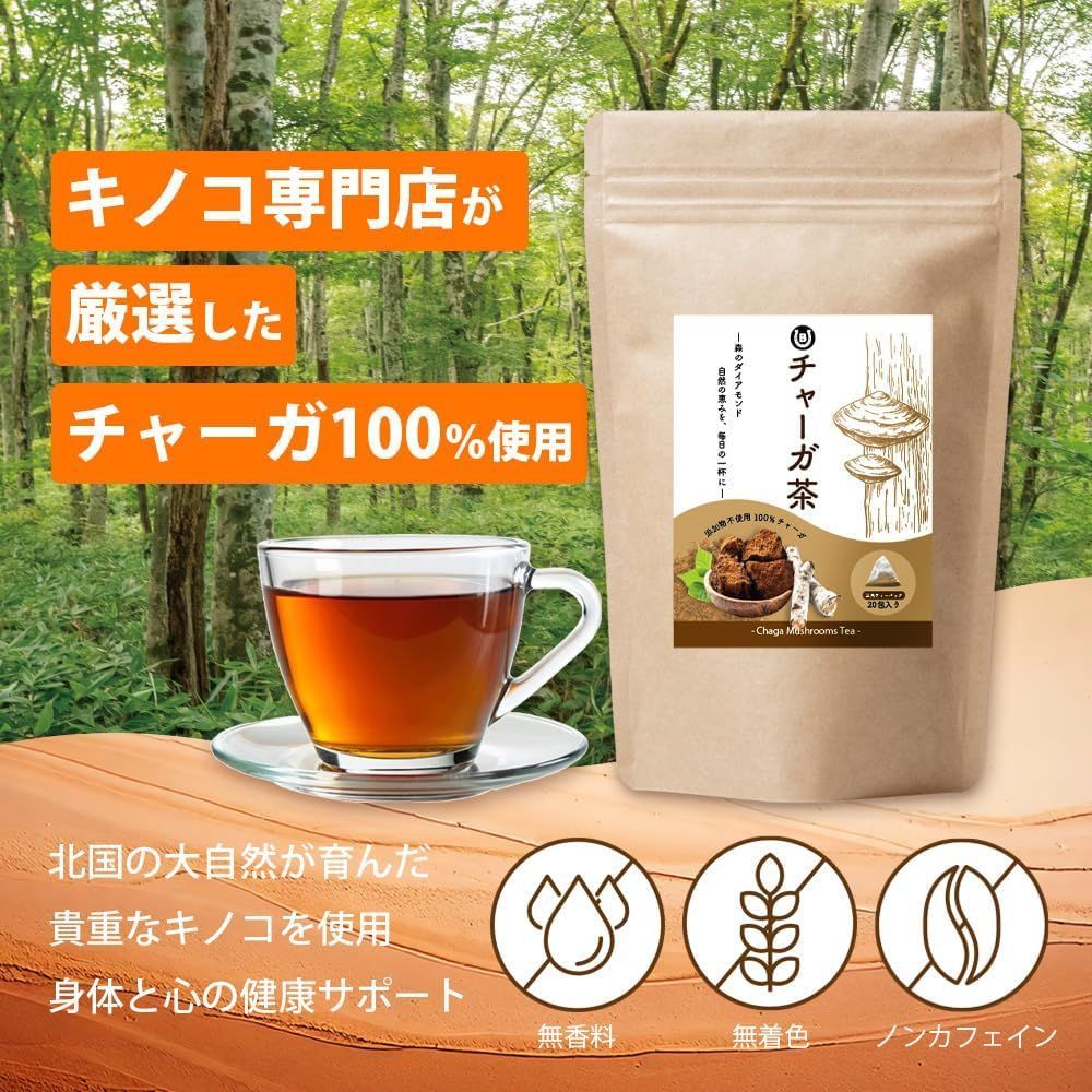 チャーガ茶 無添加 ティーバッグ2袋（1袋：2g×20包）チャーガ