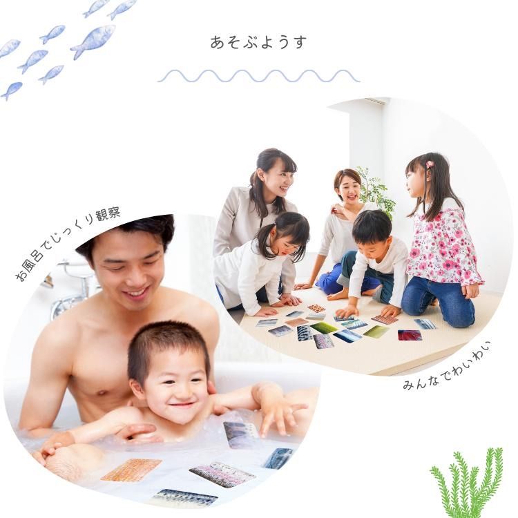 フルセット 通常盤