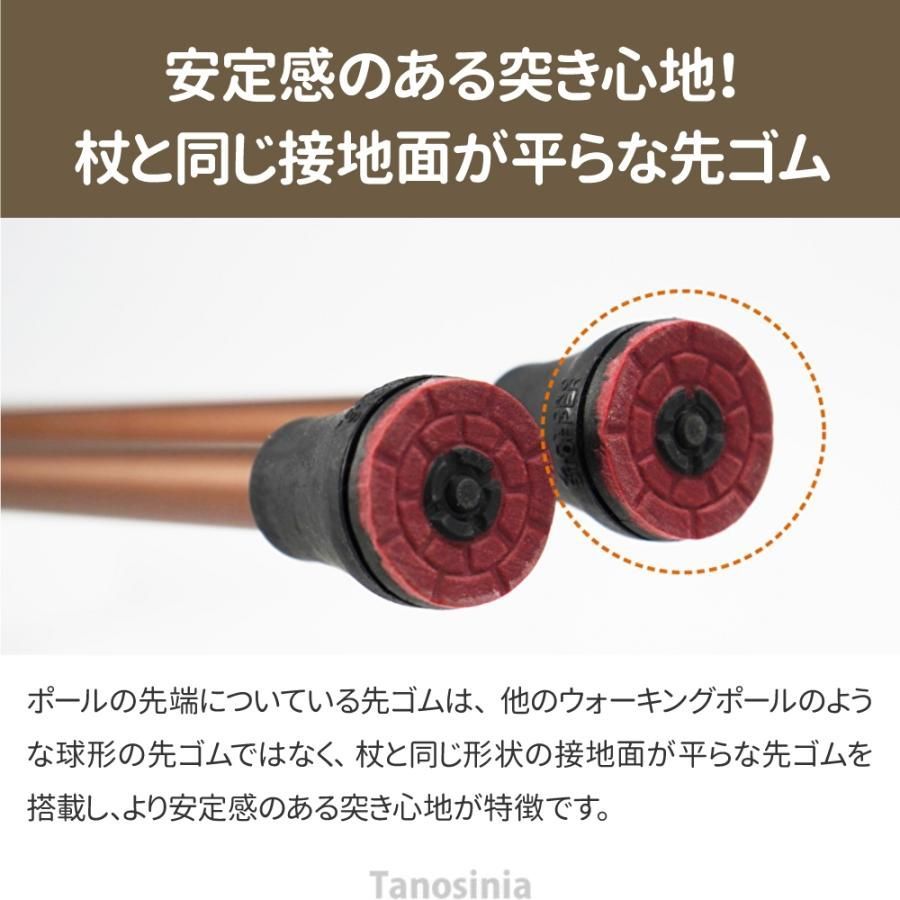 ウォーキング 杖