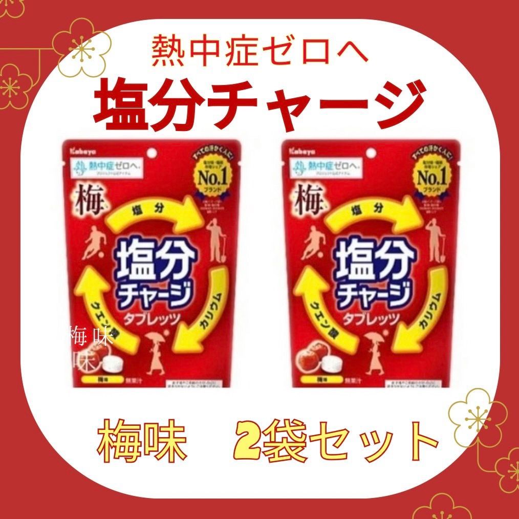 カバヤ　塩分チャージタブレッツ　81g×48袋 送料無料 カバヤ 塩分チャージタブレッツ 81g×48個 : 御用蔵