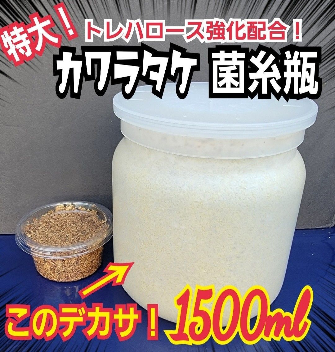 極上！カワラタケ菌糸瓶1500ml【4本】特殊アミノ酸配合！タラン