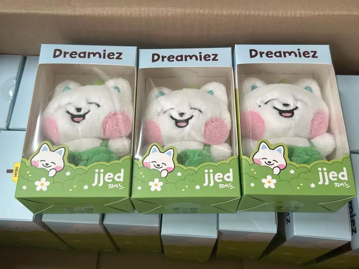 NCT Dreamiez Jjed ぬいぐるみ LINE FRIENDS NCT DREAM Dreamiez
