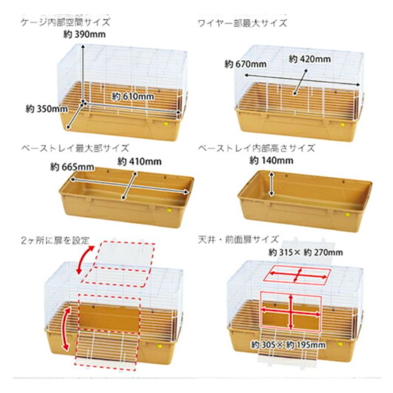 フェレット ハリネズミ