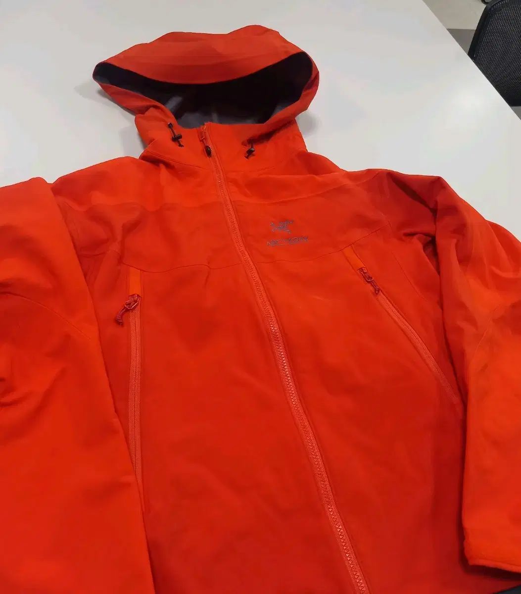 ARC TERYX アークテリクス ちらつき L