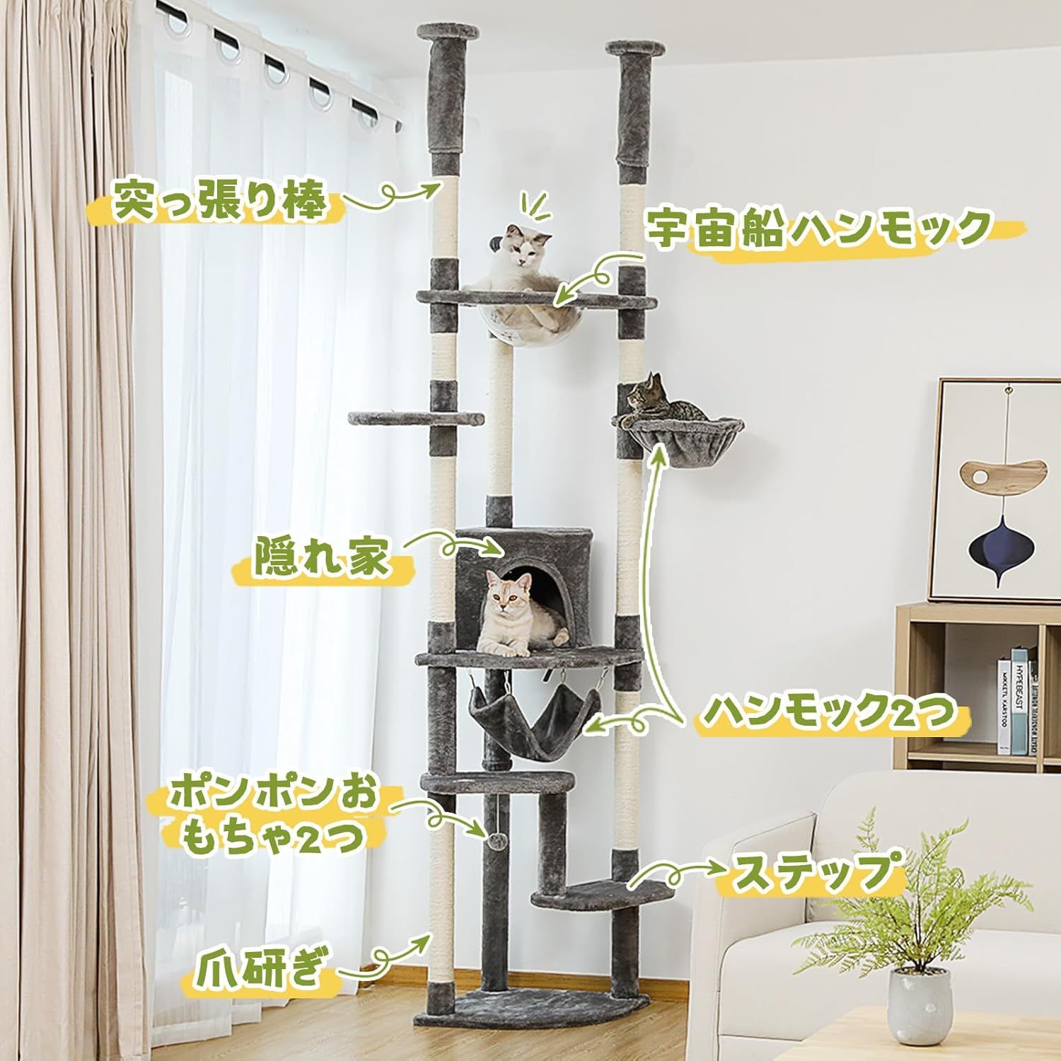 多頭飼い