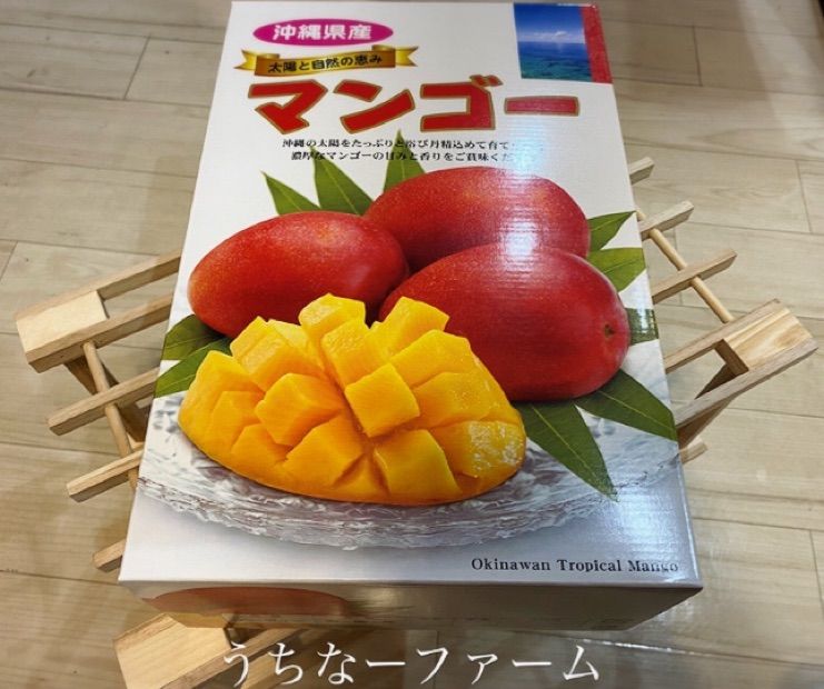 激安通販新作 贈答用 化粧箱 クール便込 沖縄マンゴー2Kg 3-5玉 i9tmg