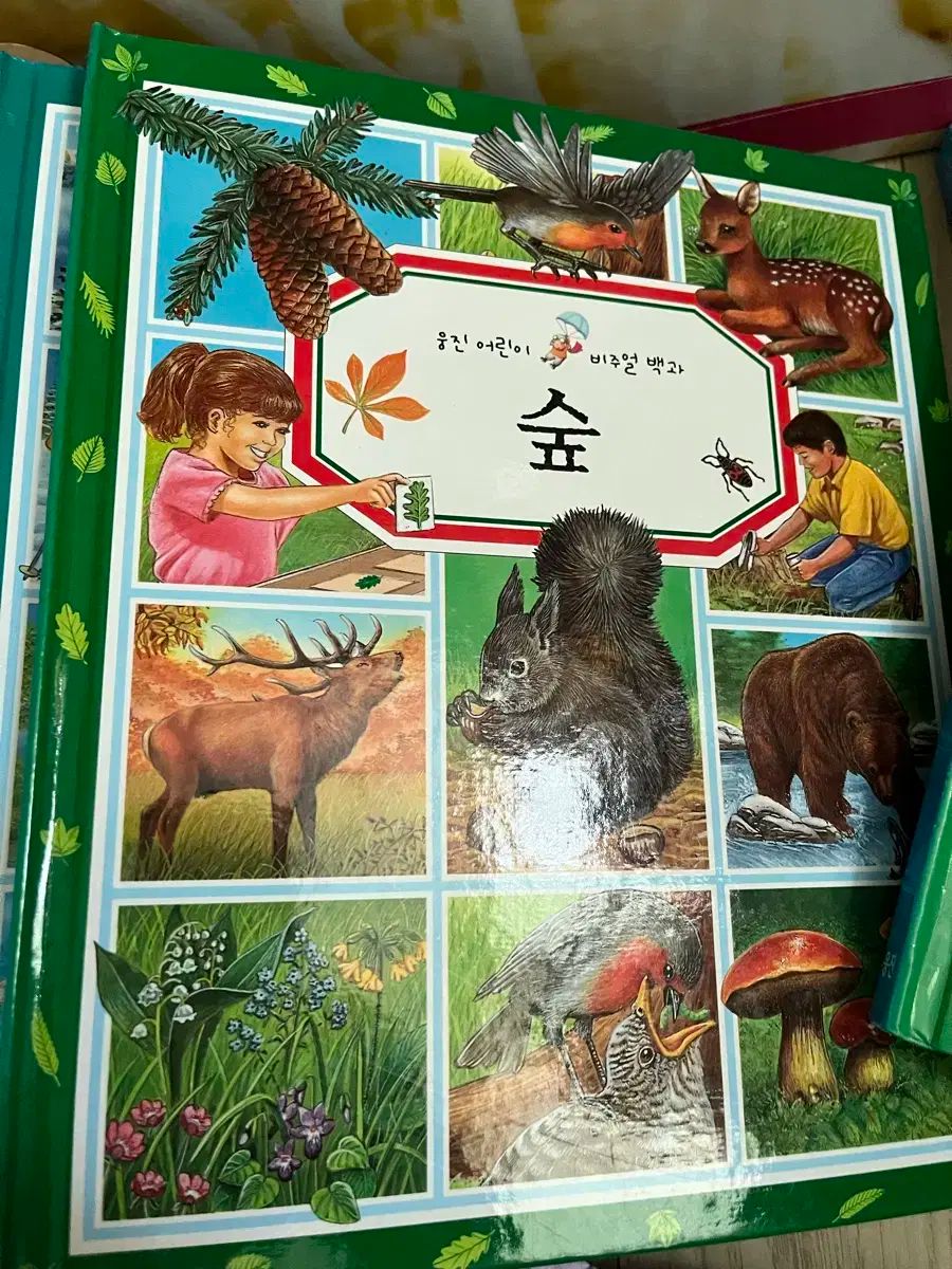山 中五山