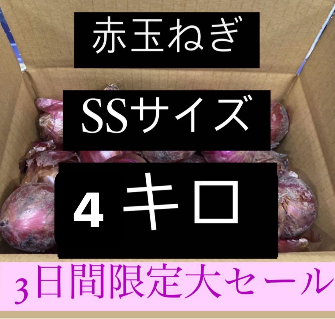 赤玉ねぎ SSサイズ 小玉 アーリーレッド 静岡県浜松産 4キロ - メルカリ