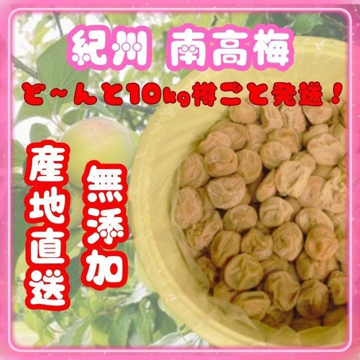 限定！ 紀州南高梅 樽 10kg かわあつ梅 無添加 和歌山 紀州 白梅
