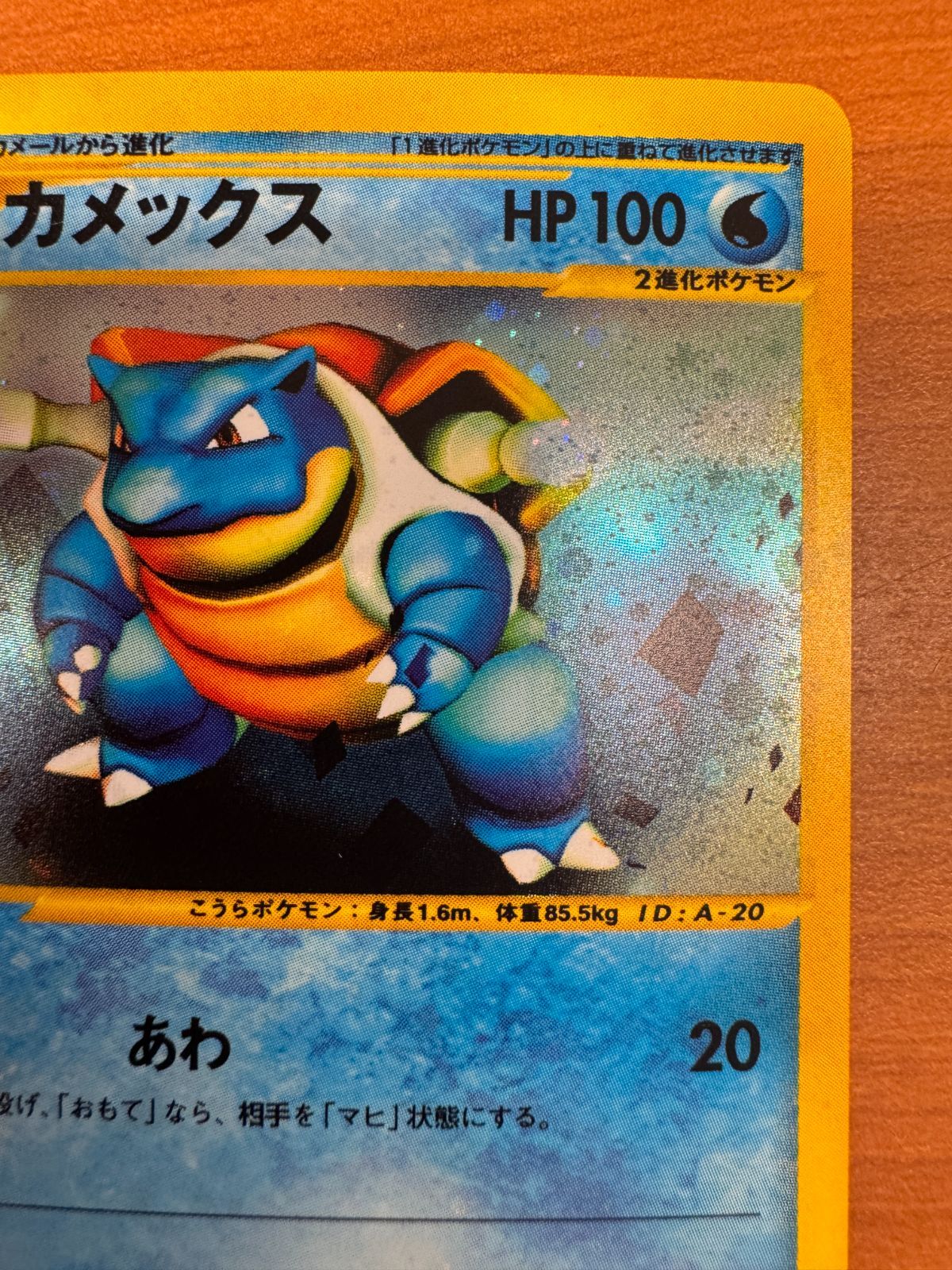 ポケモンカードe カメックス 013/P トリプルゲットキャンペーン プロモ ポケモンカードe カメックス 013/P トリプルゲットキャンペーン