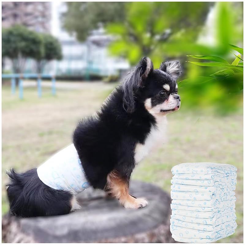  HAKOPE 犬 おむつ 男の子用 【12時間超吸収 抗菌消臭 肌にやさしい】 漏れにくい 犬 オムツ 蒸れにくい 犬用おむつ 犬用オムツ マナーおむつ 男の子 おしっこお知らせライン付き(Sサイズ 72枚 紙おむつ