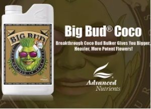 Big Bud