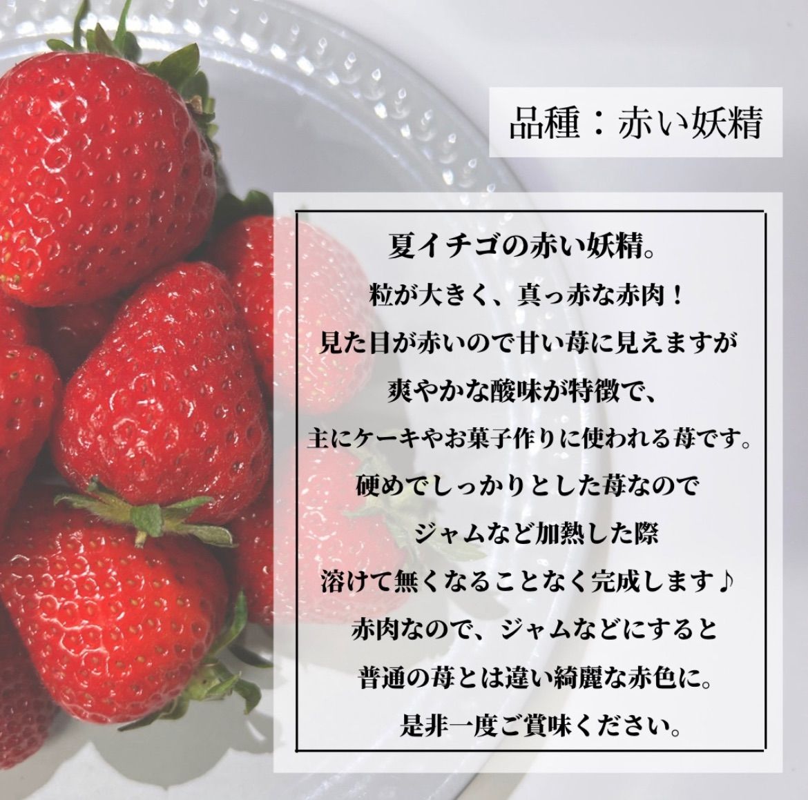 ✨大好評✨青森県産　夏イチゴ　小粒規格外　2kg 苺　いちご-2