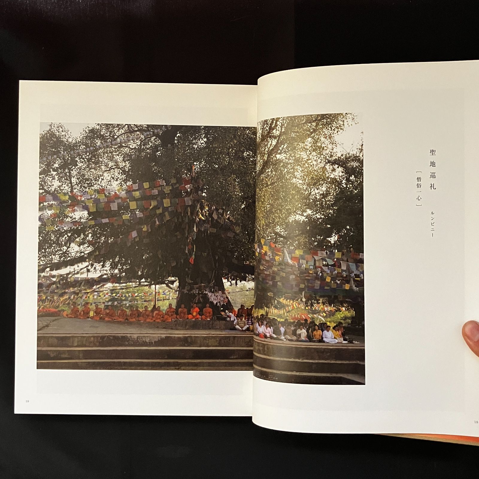 本 仏教環流 寺島彰由 写真・文 弘文堂 2011年2月 340ページ 39×29cm