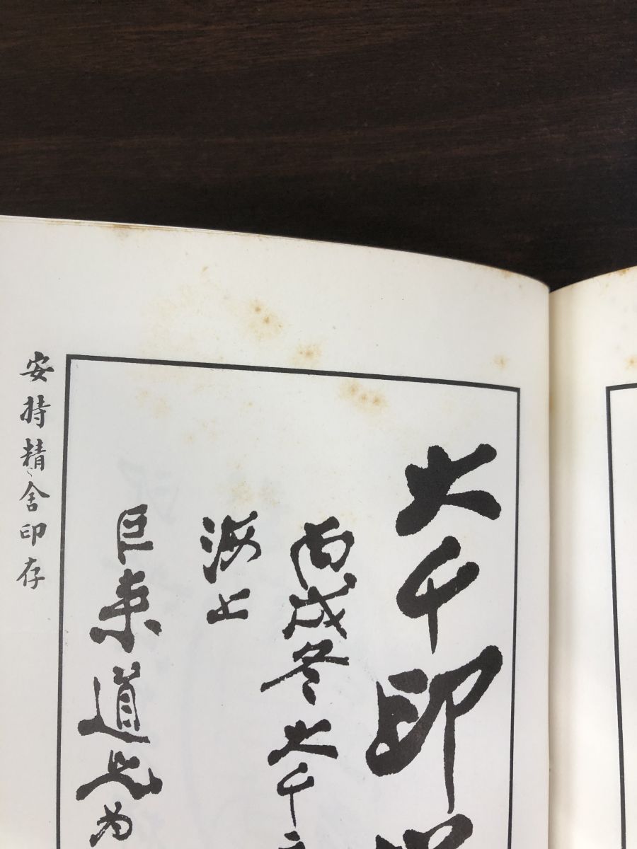 安持精舎印存 文友堂書局