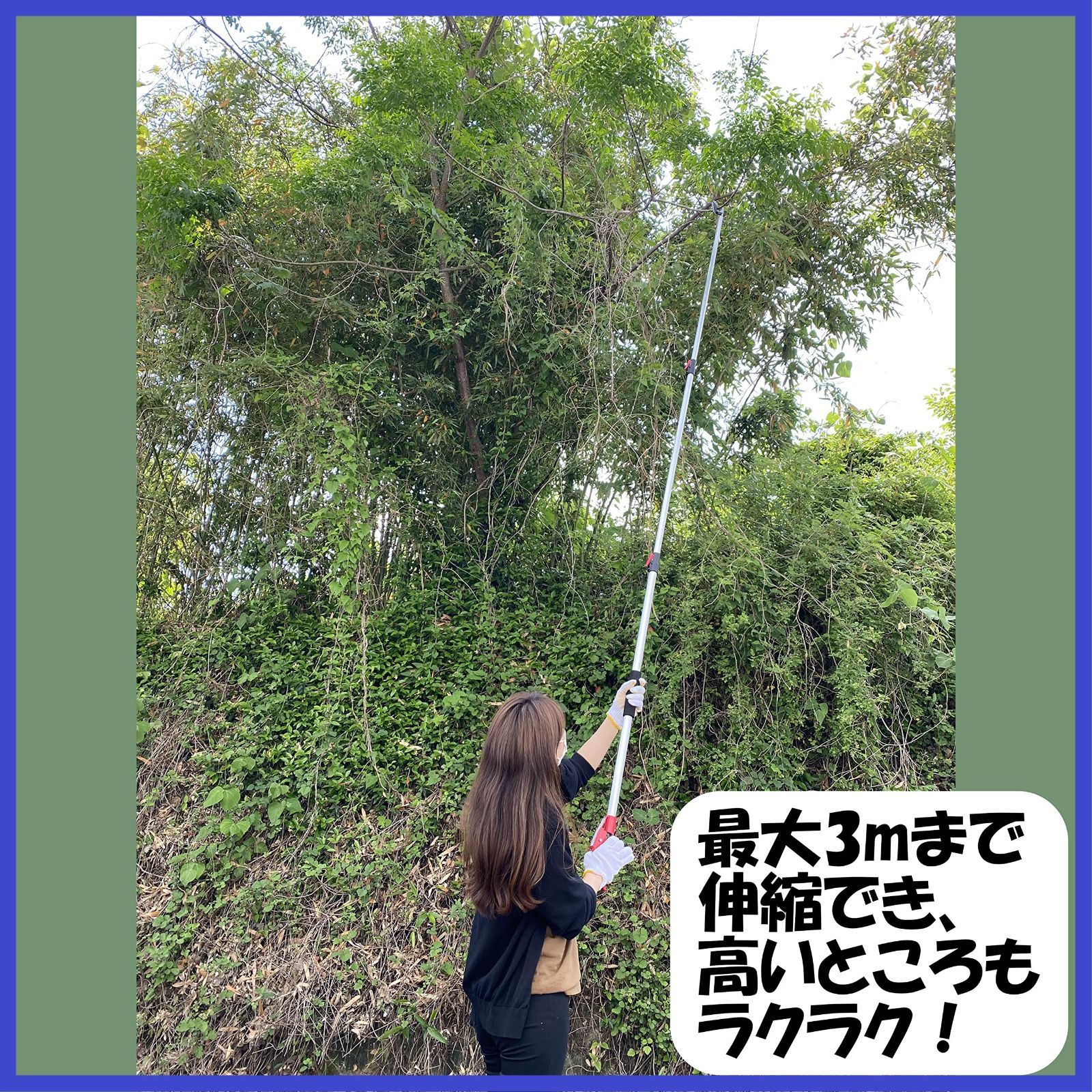 に便利な伸縮式 高枝切鋏