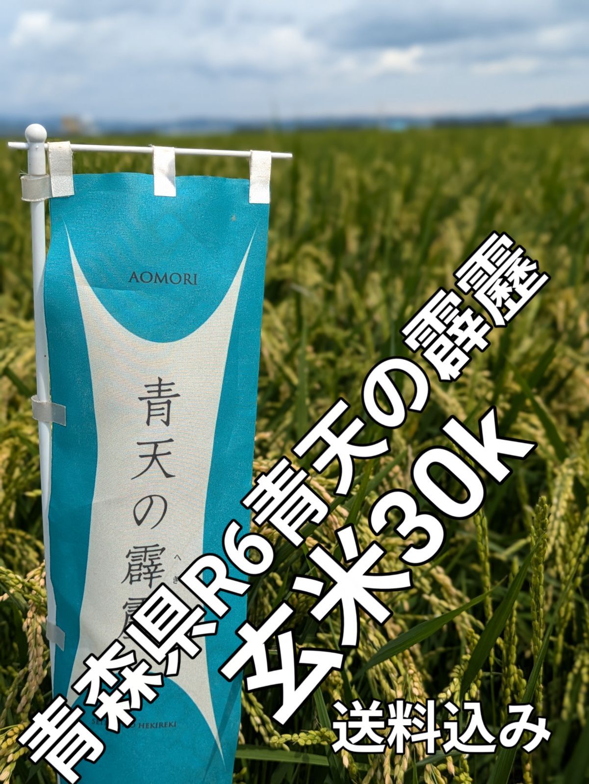 青森県R6青天の霹靂玄米30k み