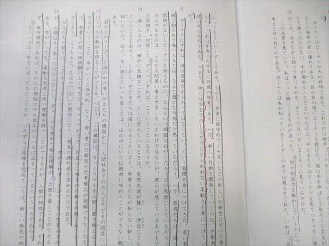 SAPIX 小6 サピックス SS特訓 国語 【全14回分フルセット】 2024 040M2D SAPIX 小6 サピックス SS特訓 国語 【全14回分フルセット】 2024