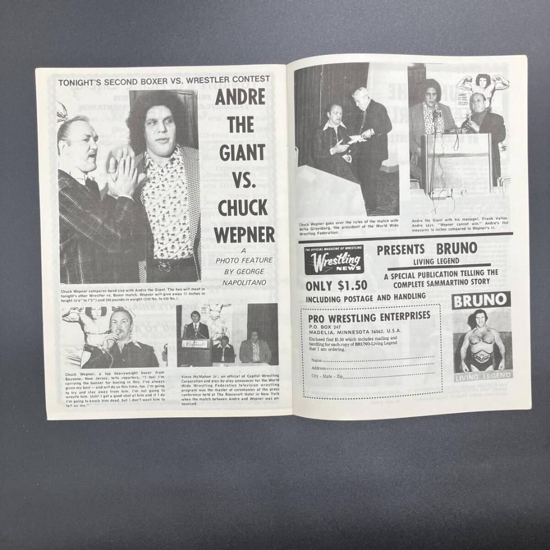 プロレス 1976年