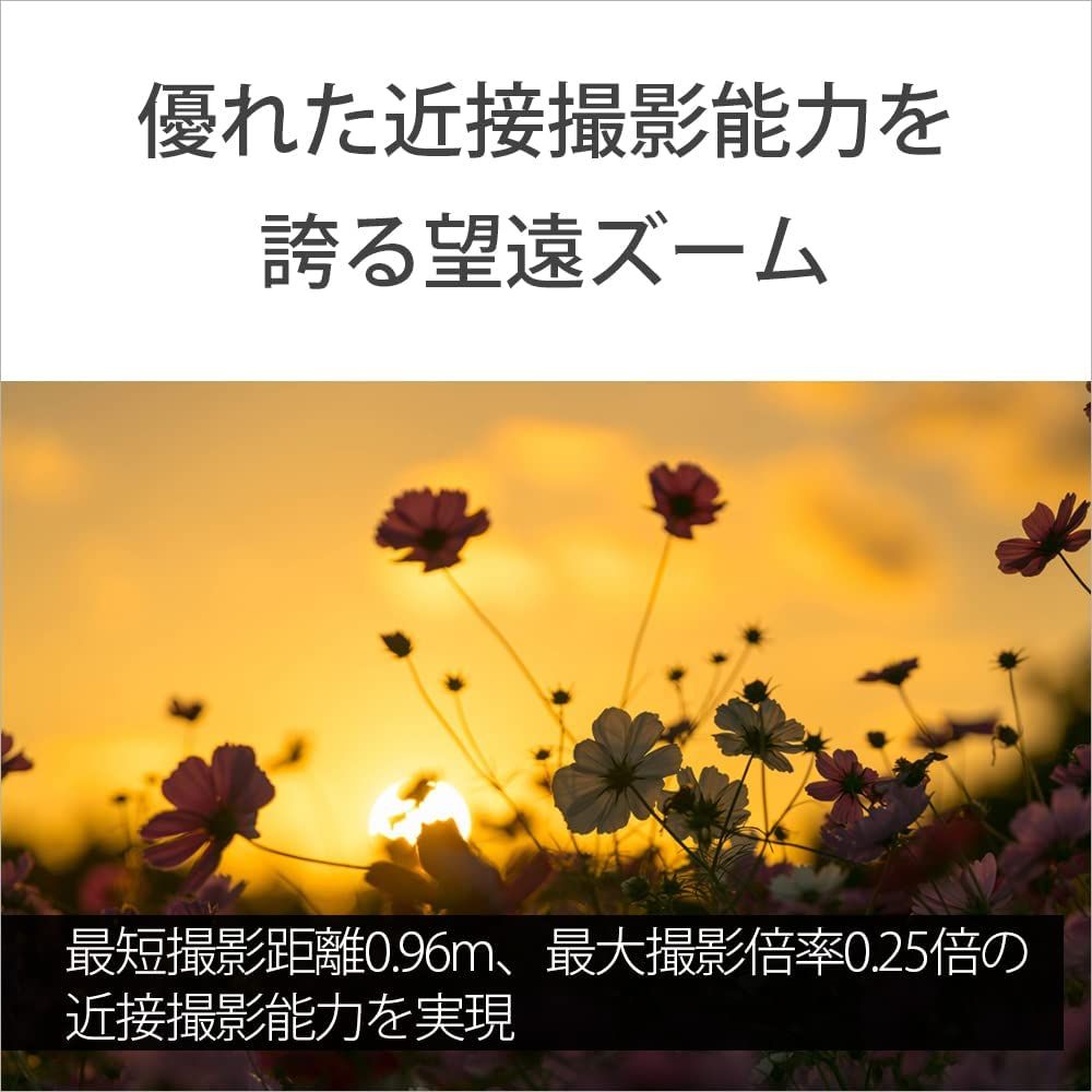 Master デジタル一眼カメラα
