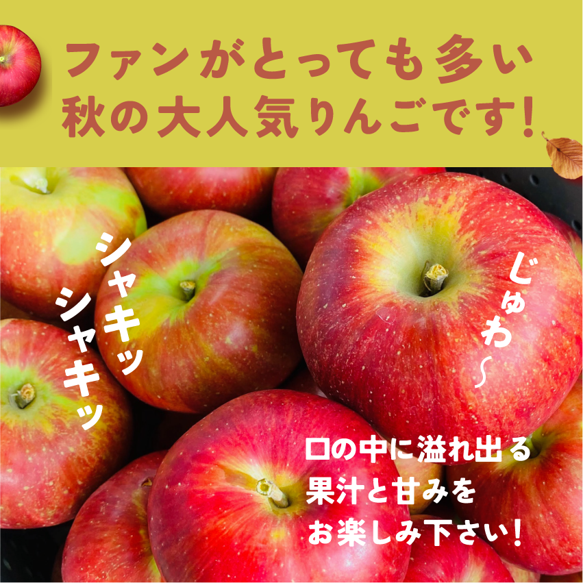 発送中「シナノスイート3キロ箱A品B品ミックス」農林水産大臣賞 りんご 長野県産 安曇野 信州産