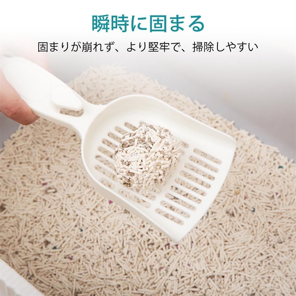 数量 PETTOM