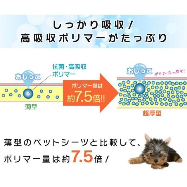 ワイド