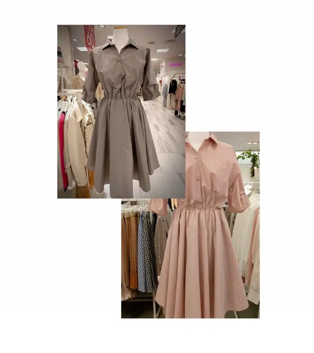 デパート商品 20 coins coiz ベルト フ ONE PIECE