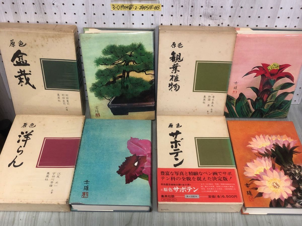 3-全6巻揃い セット 園芸植物大観 原色 1973年 昭和48年 集英社 盆栽 観葉植物 洋らん サボテン さつき つばき 古典園芸植物 シミ汚れ有  - アウトレットモール店