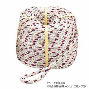 プロメイト テトロンクロスロープ12本打ち φ12x100m R-1210T