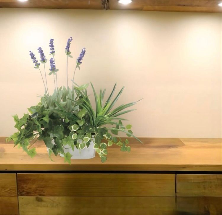 光触媒 人工観葉植物 ウォールグリーン フェイクグリーン 胡蝶蘭