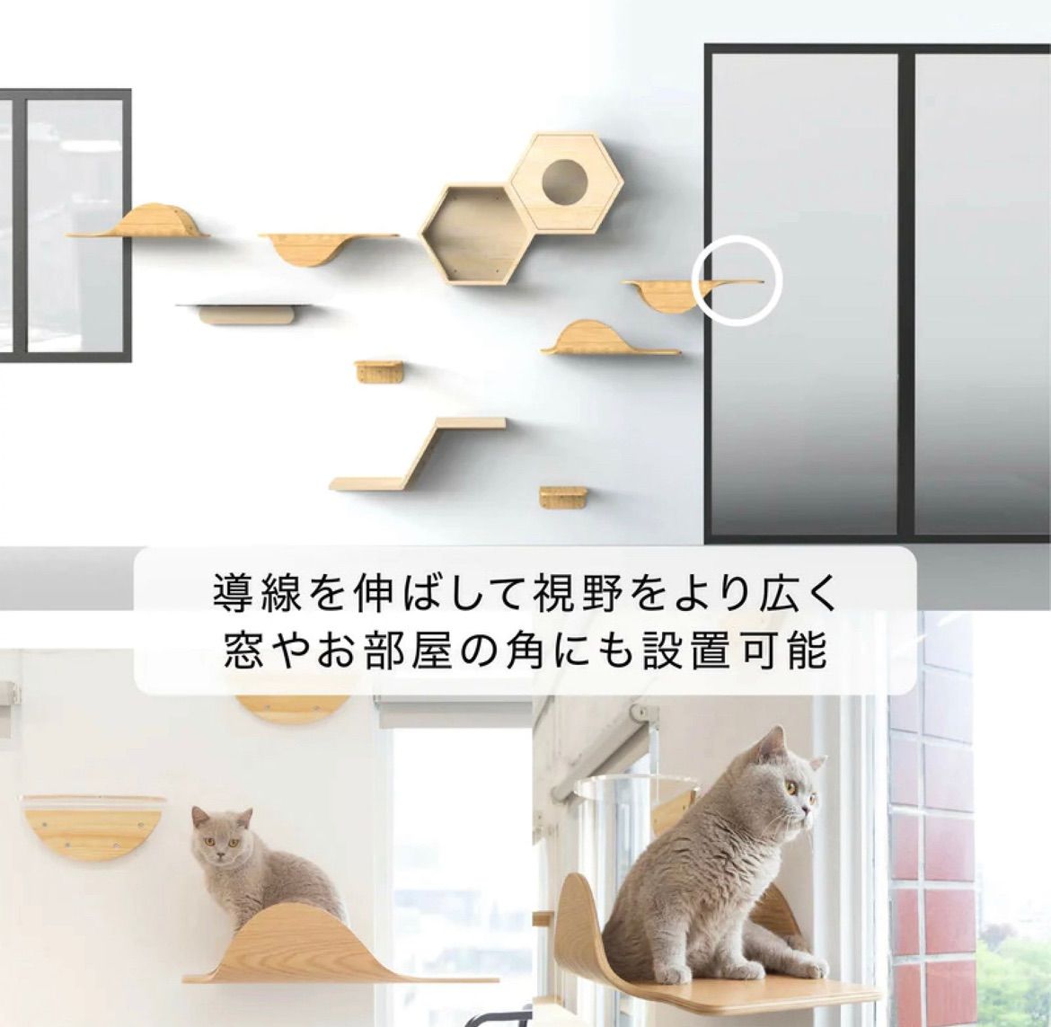 猫用品