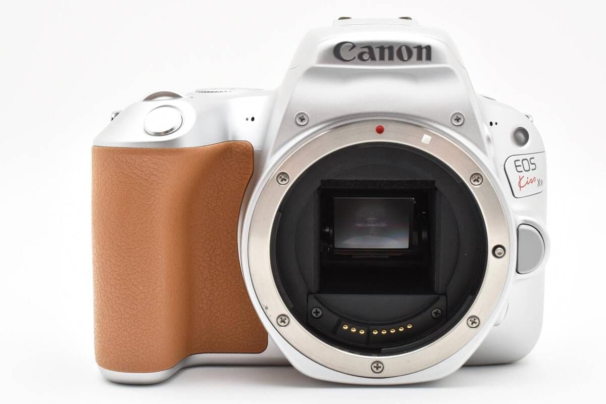 一眼レフカメラ