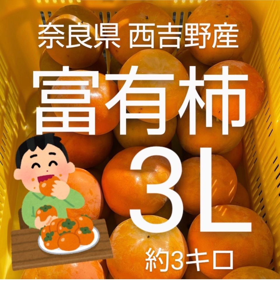 奈良県西吉野産　富有柿　3Lサイズ　3キロ