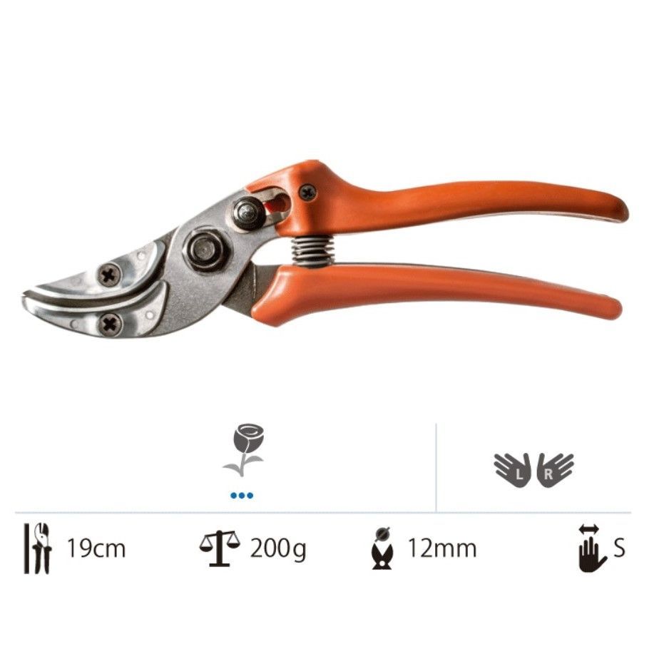 ライオン LS16107