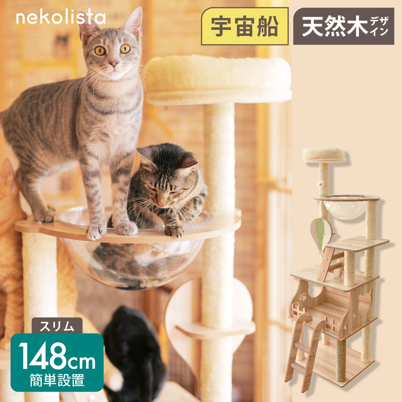 猫用品