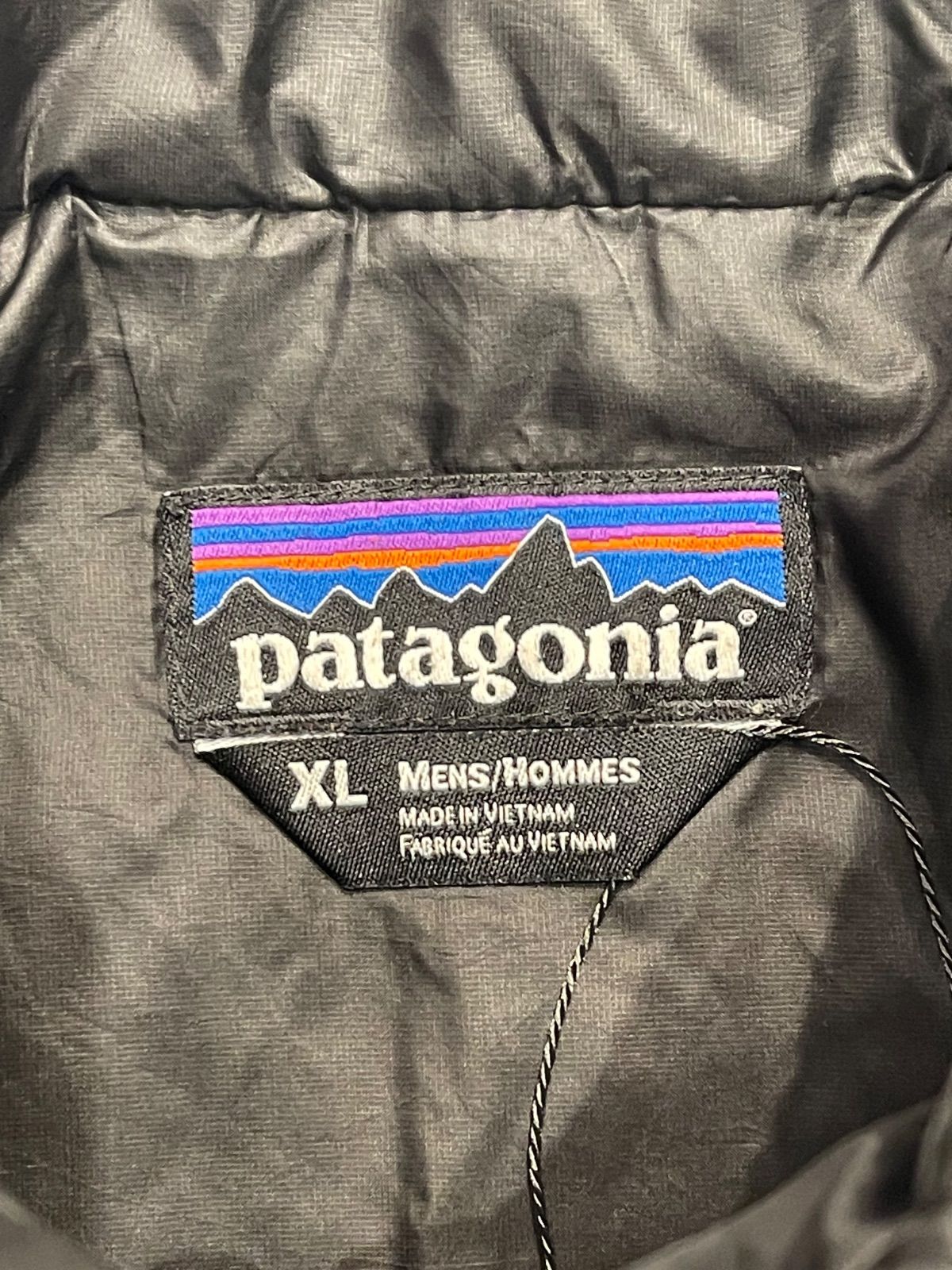 patagonia DOWN