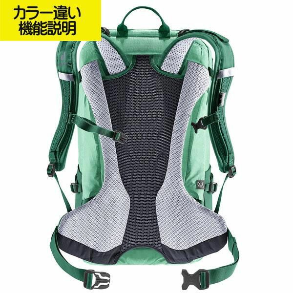 カスピアxカラント