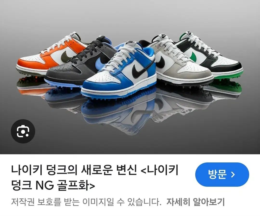 NIKE ナイキ ダンク NG 白 黒 ブルー ゴルフシューズ 260mm